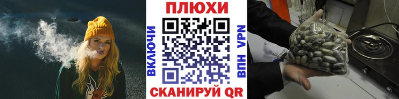 MEGA как войти  Михайлов  ГАШ Изолятор 
