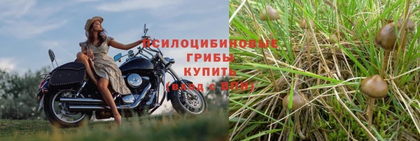 спайс Ладушкин