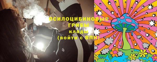 спайс Ладушкин