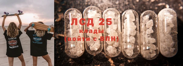 спайс Ладушкин