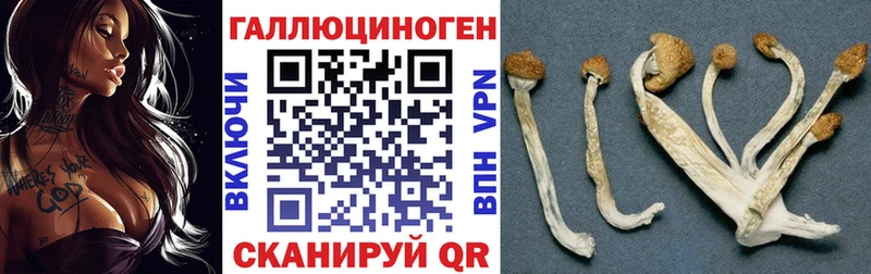 мега вход  дарнет шоп  Михайлов  Псилоцибиновые грибы Magic Shrooms 